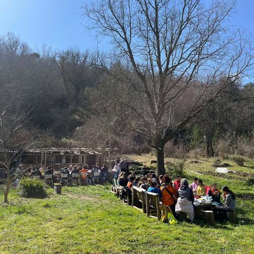 488458233_691153736810979_2564300170054396667_n (1).jpg