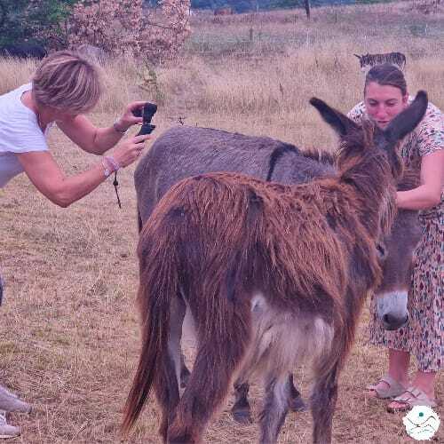 WhatsApp Image 2025-08-30 at 14.08.51.jpeg