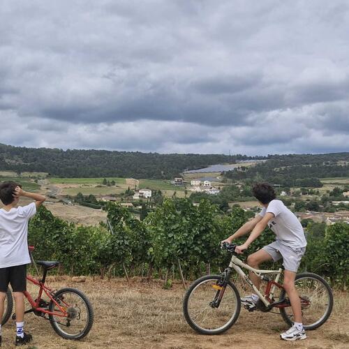 WhatsApp Image 2025-09-01 at 13.08.22.jpeg