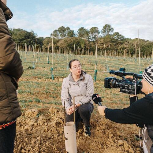 WhatsApp Image 2025-01-11 at 18.34.04.jpeg